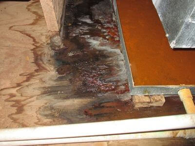 About water damage cleanup - ceiling water damage repair experts in Oceanside